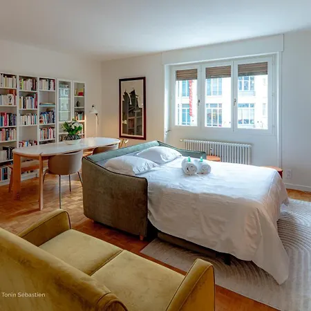 Lumineux Plein Centre Apartamento *